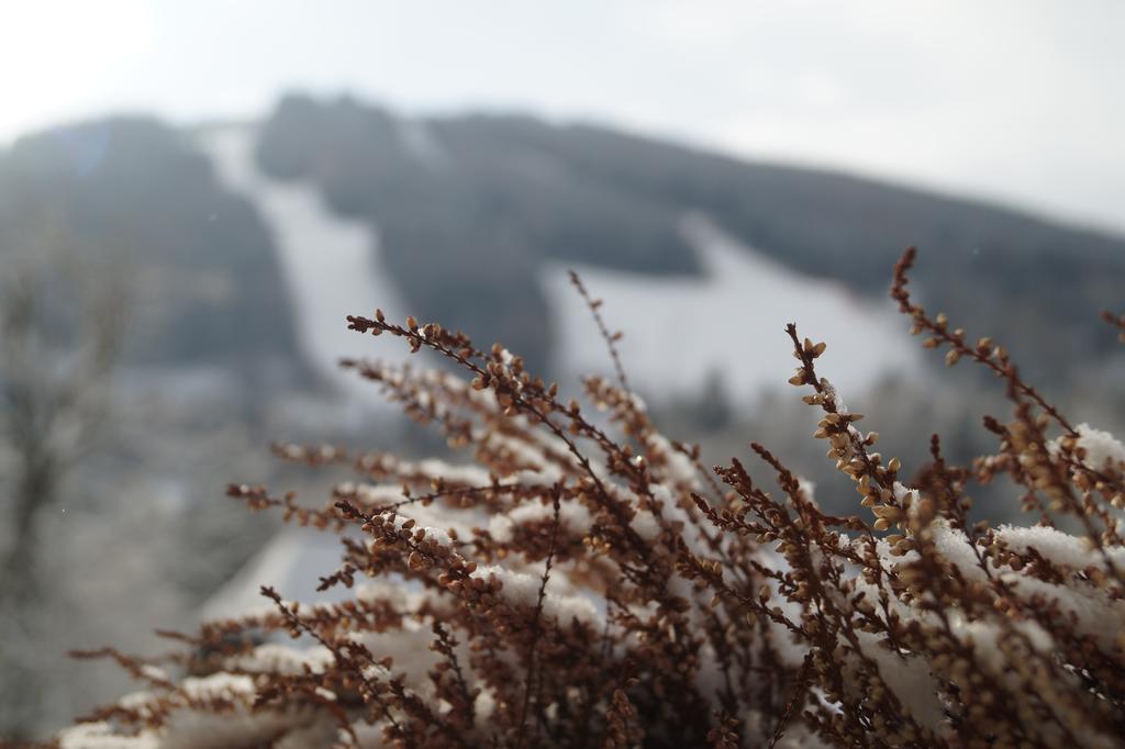 Belvedere Hotell Semmering Exteriör bild